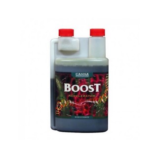 Boost Acelerator Canna
