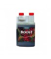 Boost Acelerator Canna