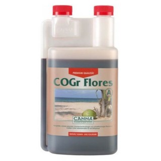 Cogr Flores A - Canna