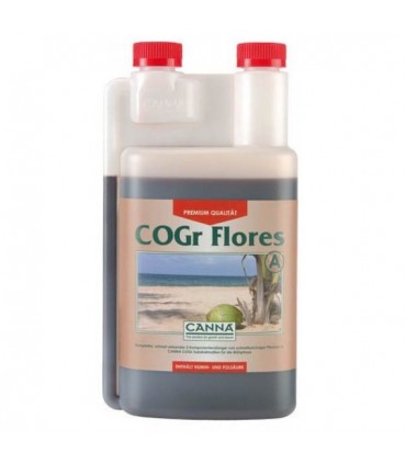 Cogr Flores A - Canna