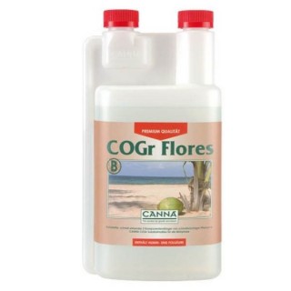 Cogr Flores B - Canna