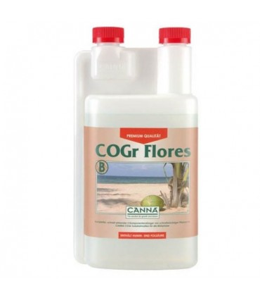 Cogr Flores B - Canna