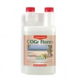 Cogr Flores B - Canna