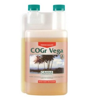 Cogr Vega A - Canna