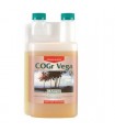 Cogr Vega A - Canna