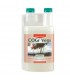Cogr Vega B - Canna