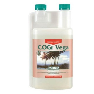 Cogr Vega B - Canna