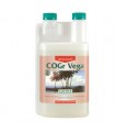 Cogr Vega B - Canna