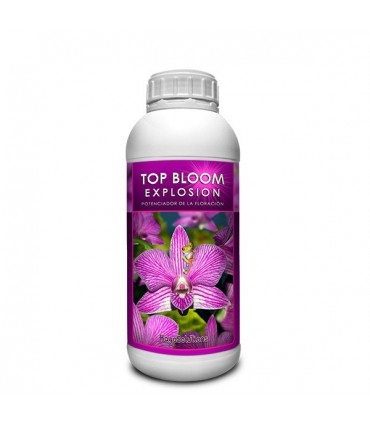 Top Bloom Explosion 1 lt. Kayasolutions 