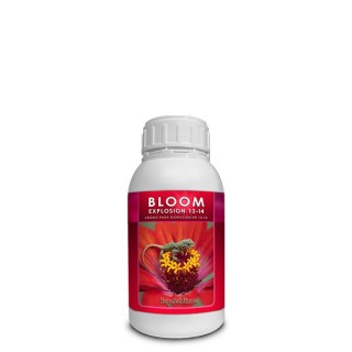 Bloom Explosion  500 ml. Kayasolutions