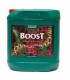 Boost Acelerator   250 ml. Canna 