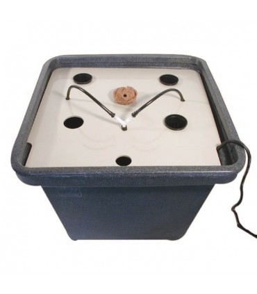 Aerofarm 2'' General Hydroponics  48/72 h.