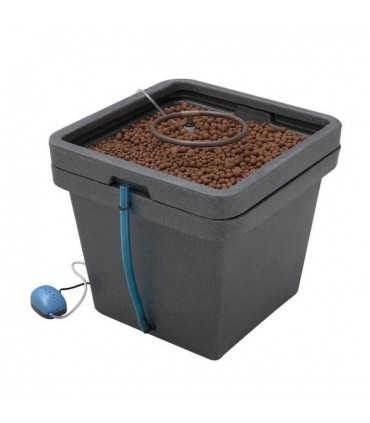 Aqua Farm General Hydroponics  48/72 h.
