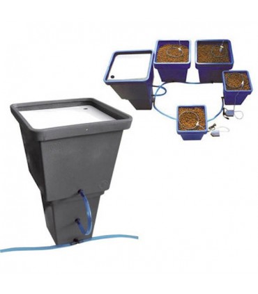 Controller ACS General Hydroponics  48/72 h.