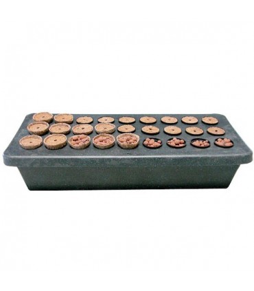 Cutting Board General Hydroponics  48/72 h.