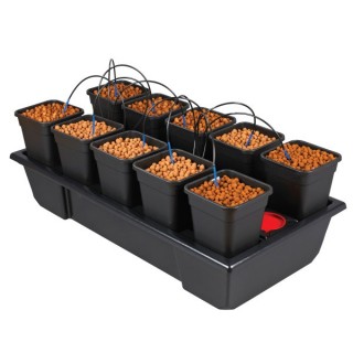 Equipo Hidroponico Wilma V2 Small Wide  10 x 6 l  48/72 h.