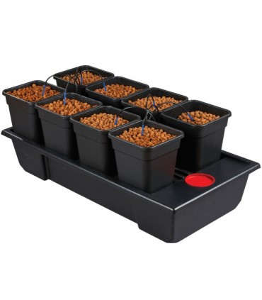 Equipo Hidroponico Wilma V2 Small Wide  8 x 11 l  48/72 h.