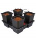 Equipo Hidroponico Wilma V2 XL  4 x 25 l  48/72 h.
