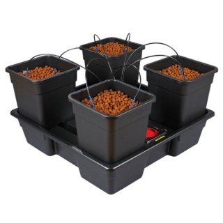 Equipo Hidroponico Wilma V2 XL  4 x 25 l  48/72 h.