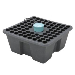 Rainforest 72  12 v General Hydroponics  48/72 h.