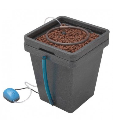 WaterFarm General Hydroponics  48/72 h.