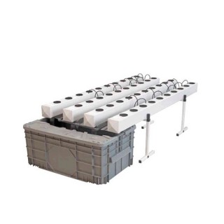 Aeroflo  40 General Hydroponics  48/72 h.