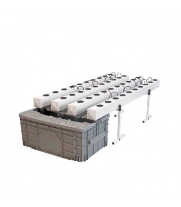 Aeroflo  40 General Hydroponics  48/72 h.