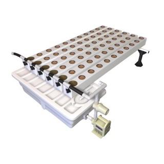 Aeroflo  60 General Hydroponics  48/72 h.