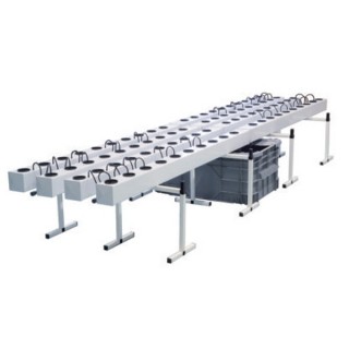 Aeroflo  80 General Hydroponics  48/72 h.