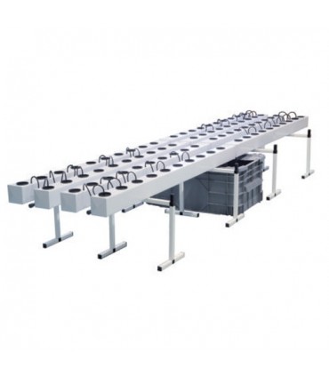 Aeroflo  80 General Hydroponics  48/72 h.