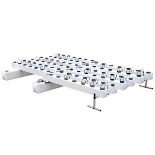 Aeroflo  84 Bas General Hydroponics  48/72 h.
