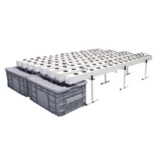 Aeroflo 120 General Hydroponics  48/72 h.