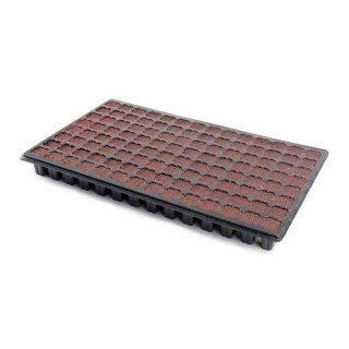 Bandeja I CLONE S-TP 144 Alveolos