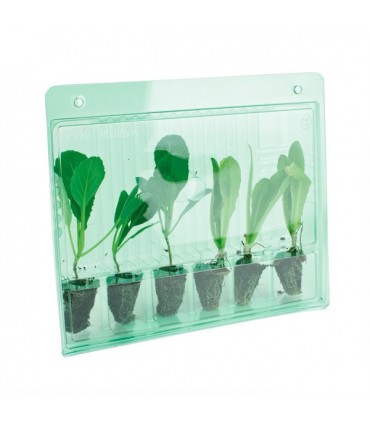 Funda Transporte 6 esquejes