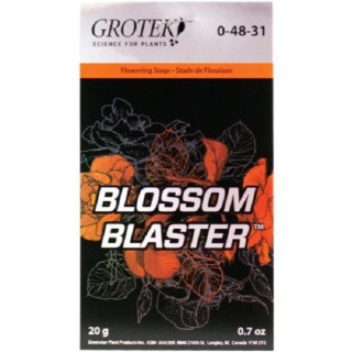 Blossom Blaster Grotek