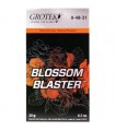 Blossom Blaster Grotek