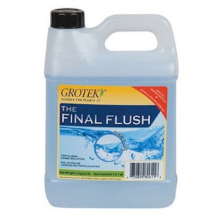 Final Flush Reg Grotek