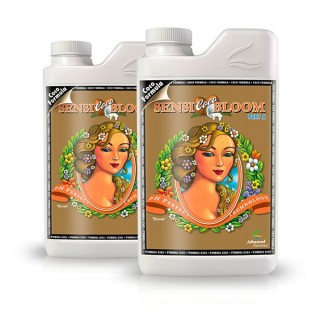 Sensi Bloom COCO B Advanced Nutrients