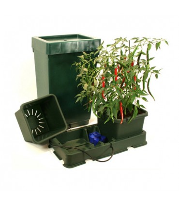 Easy2grow    2 - Deposito 47 lts. Green Autopot  48/72 h.