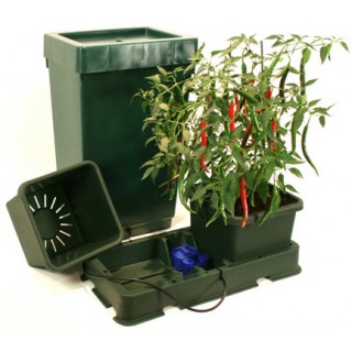 Easy2grow XL   2 - Deposito 47 lts. Green  Autopot  48/72 h.