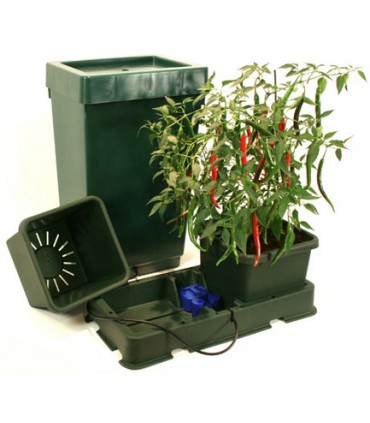 Easy2grow XL   2 - Deposito 47 lts. Green  Autopot  48/72 h.