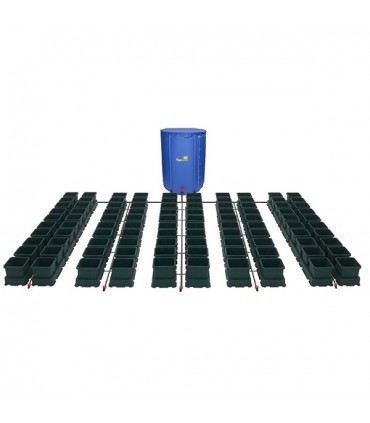 Easy2grow XL 100 - Deposito 750 lts. Green  Autopot  48/72 h.